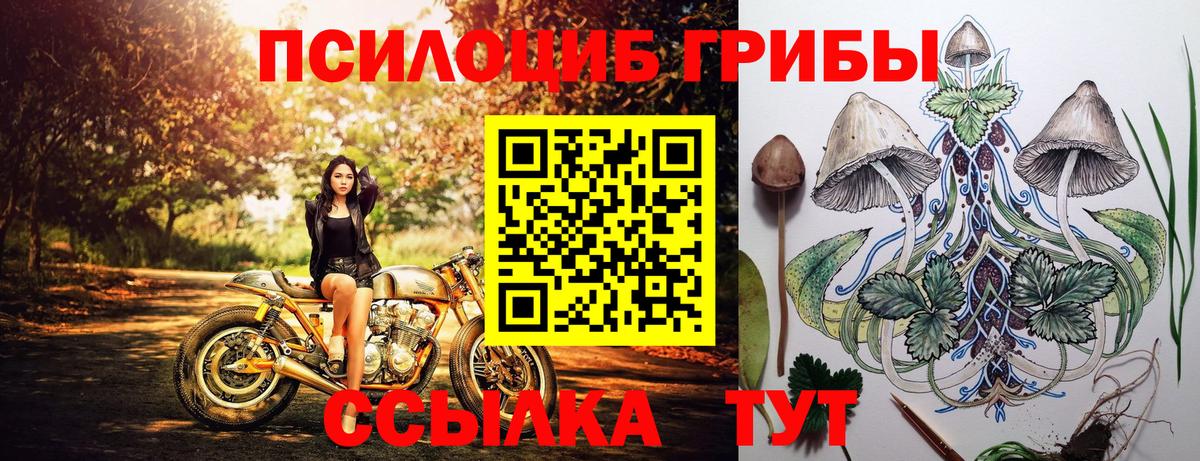 Псилоцибиновые грибы прущие грибы Тосно